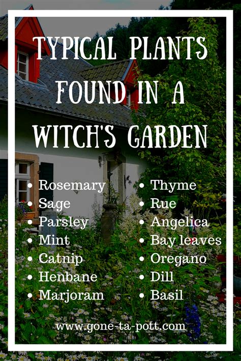 Gteen witch garden
